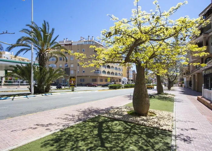 Alegria Id14 Apartment