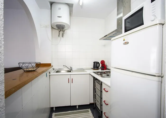 Alegria Id14 Torrevieja