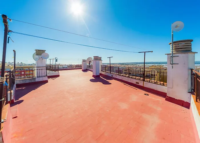 Alegria Id14 Torrevieja