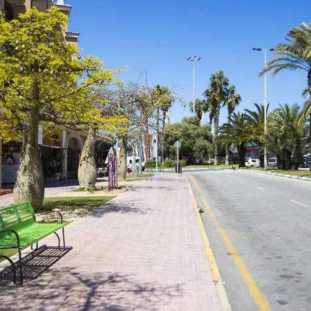 Alegria Id14 * 托雷维耶哈