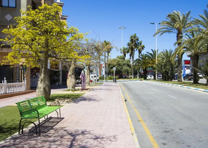 Alegria Id14 * 托雷维耶哈